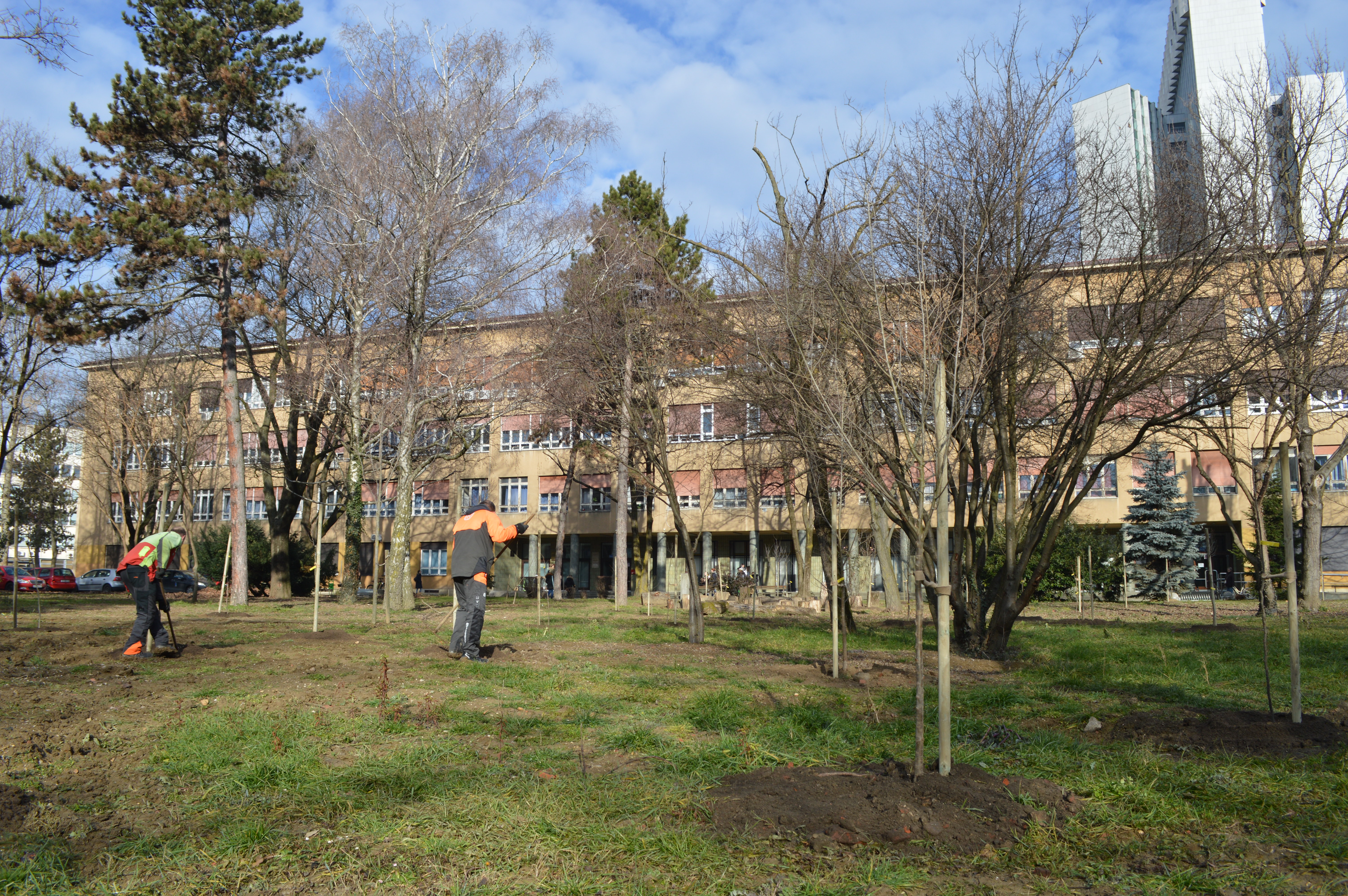 Učiteljski fakultet dobio park-šumu Učiteljski fakultet dobio park-šumu