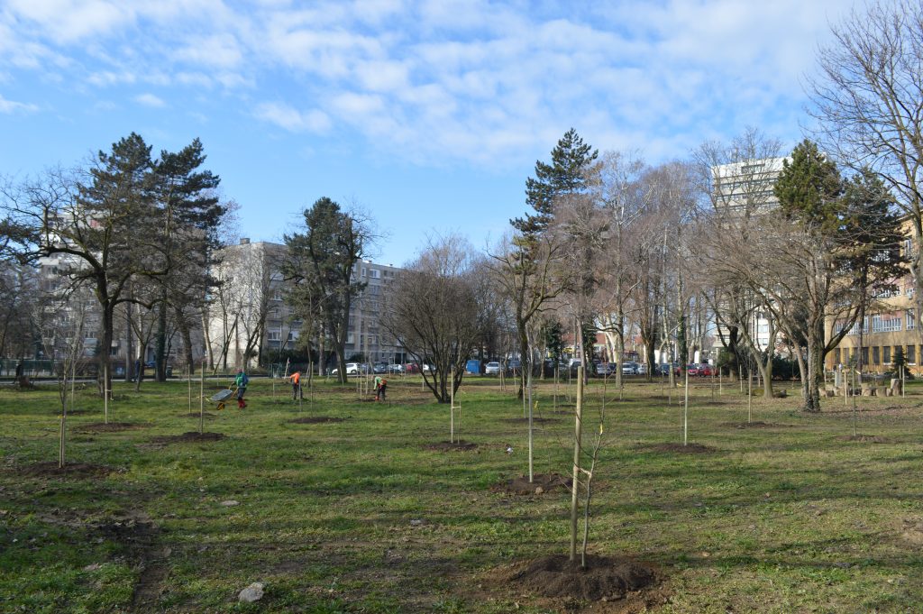 Park-šuma UFZG