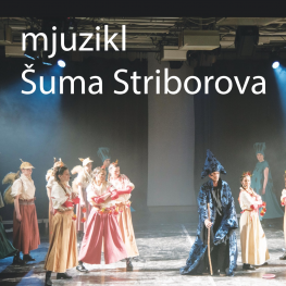 Mjuzikl Šuma Striborova